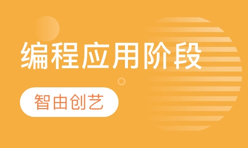 编程应用阶段