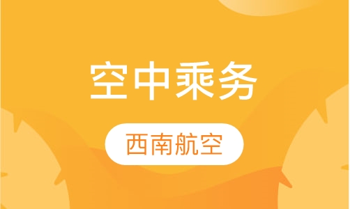 空中乘务