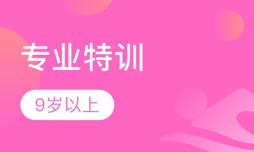 专业特训（暑/寒假集训营）