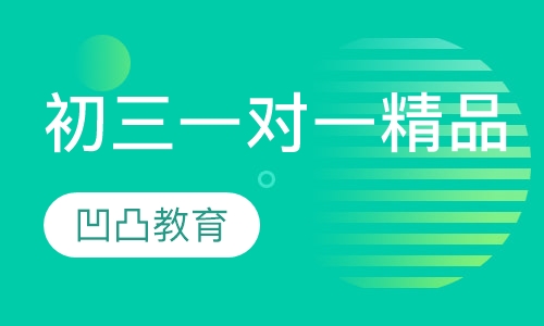 初三一对一精品课程