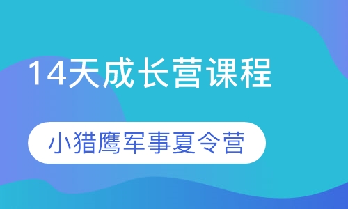 14天成长营课程