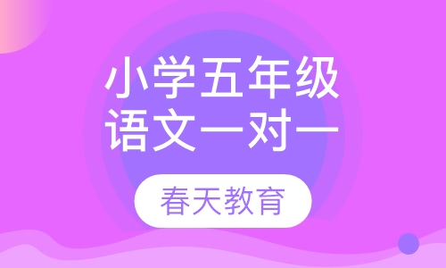 小学五年级语文一对一辅导课程
