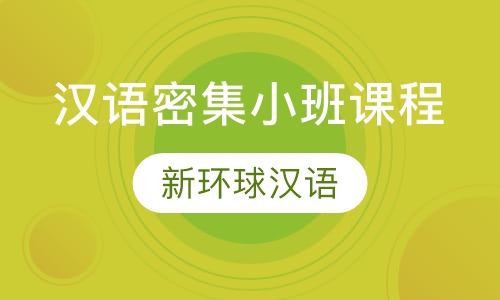 汉语密集小班课程