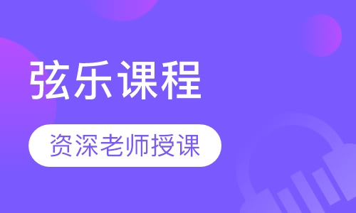 弦乐课程
