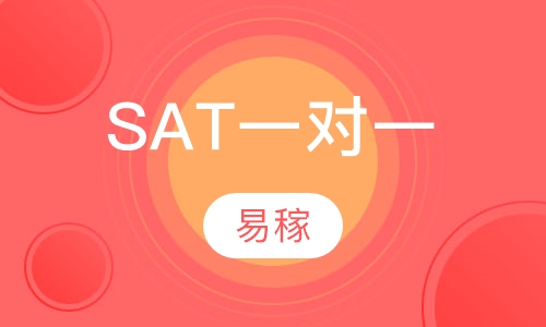 SAT一对一