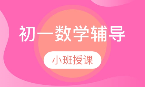 初一数学辅导