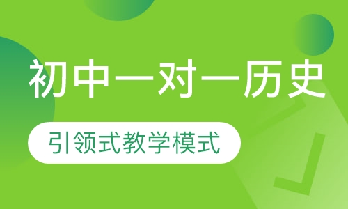 初中一对一历史