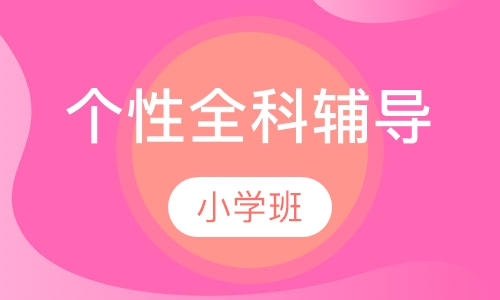 小学个性全科辅导