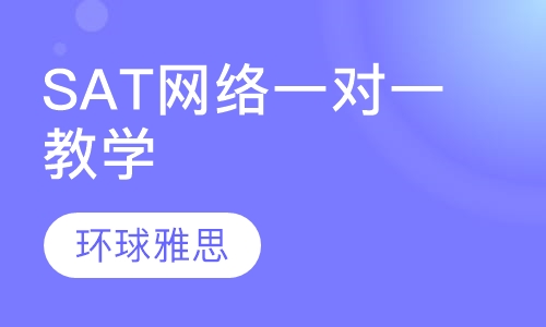 SAT网络一对一教学