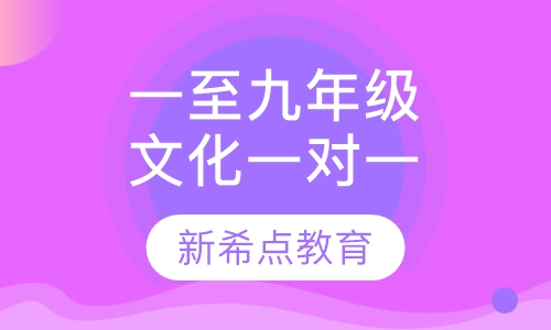 一至九年级一对一文化辅导