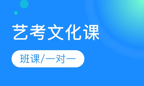 艺考文化课辅导