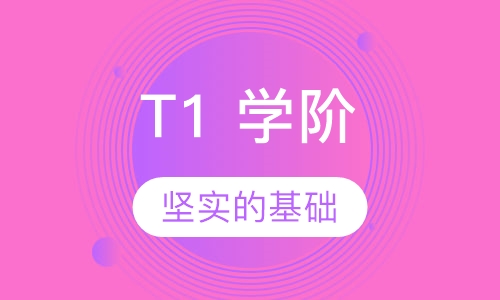 T1 学阶