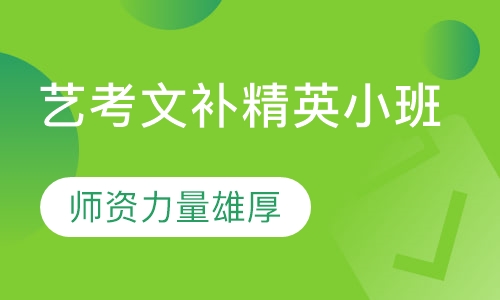 艺考文补精英小班
