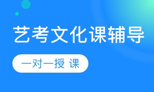 艺考文化课一对一辅导