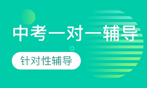 中考一对一辅导