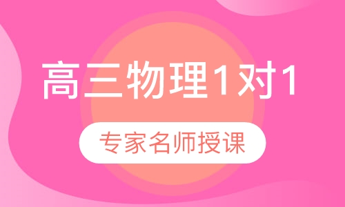 高三物理1对1辅导