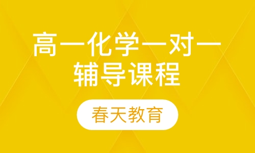 高一化学一对一辅导课程