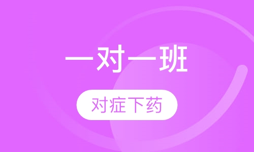 成功语商VIP一对一教练辅导