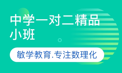 中学一对二精品小班