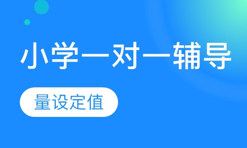 小学一对一辅导（1-4年级）