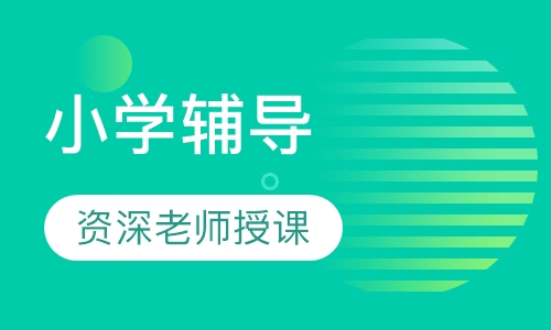 小学辅导