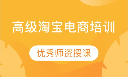 高级淘宝电商培训