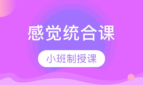 感觉统合课