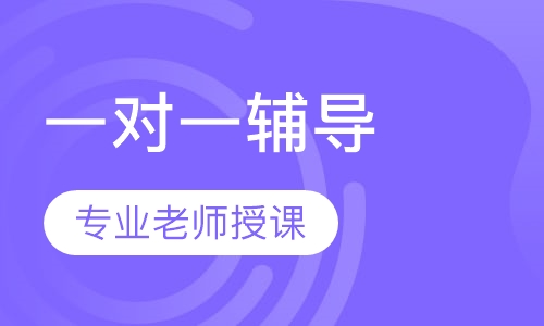 初高中期中期末考试一对一辅导