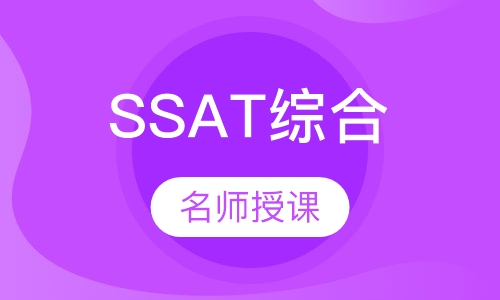 SSAT综合一对一提分