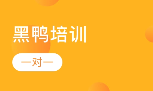 黑鸭培训
