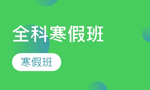 小学全科辅导寒假班