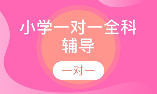 小学一对一全科辅导