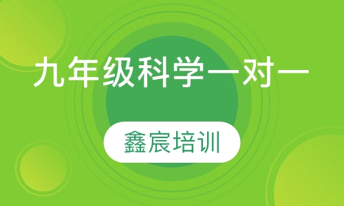 九年级科学一对一