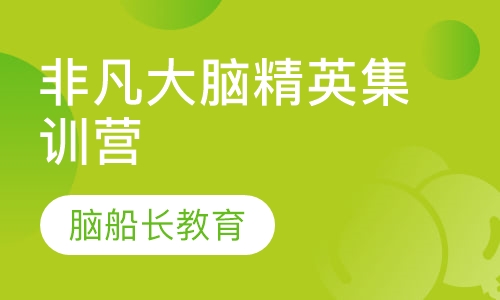 非凡大脑精英集训营