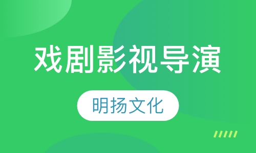 戏剧影视导演专业