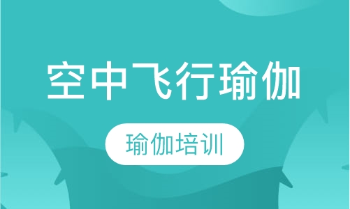 空中飞行瑜伽