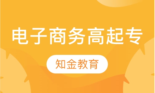 电子商务（高起专）