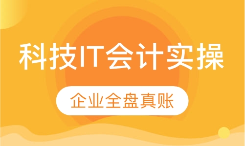 科技IT会计实操