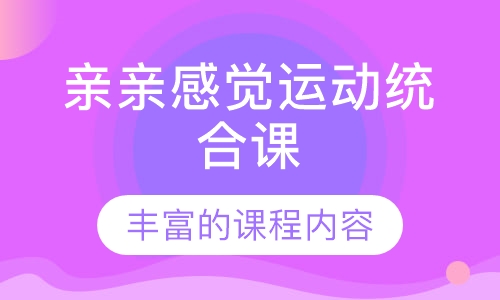 亲亲感觉运动统合课