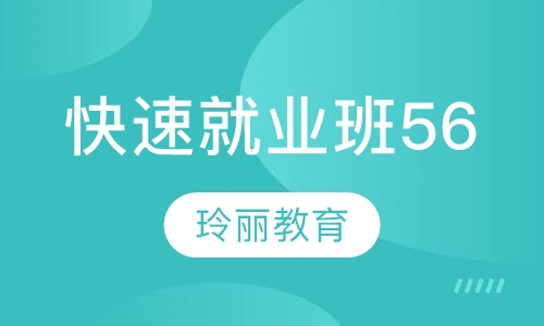 快速就业班 （5 6）