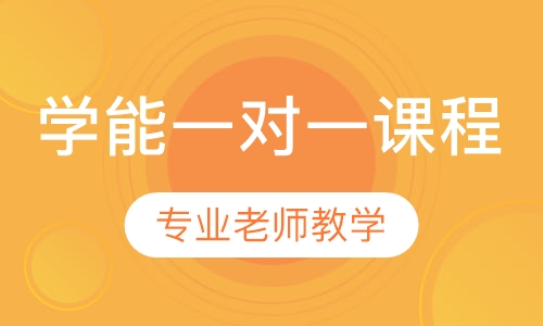 学能一对一课程