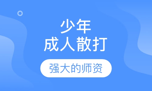 少年，成人散打