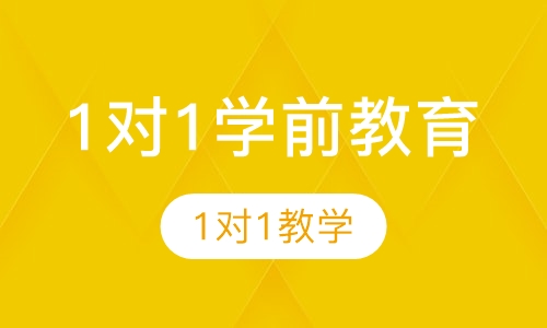 学前教育私人定制1对1