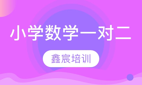小学数学一对二
