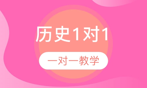 高中历史1对1