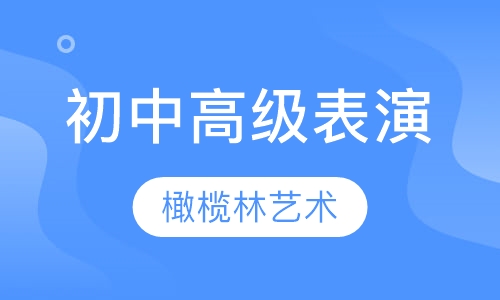 初中高级表演培训