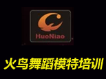 武汉火鸟舞蹈模特艺术培训