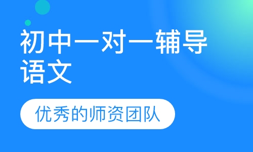 初中一对一辅导语文