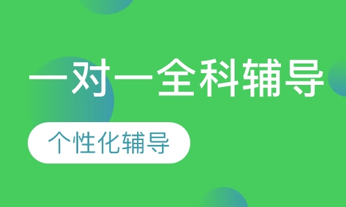 一对一全科辅导
