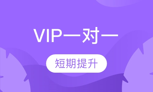 VIP一对一